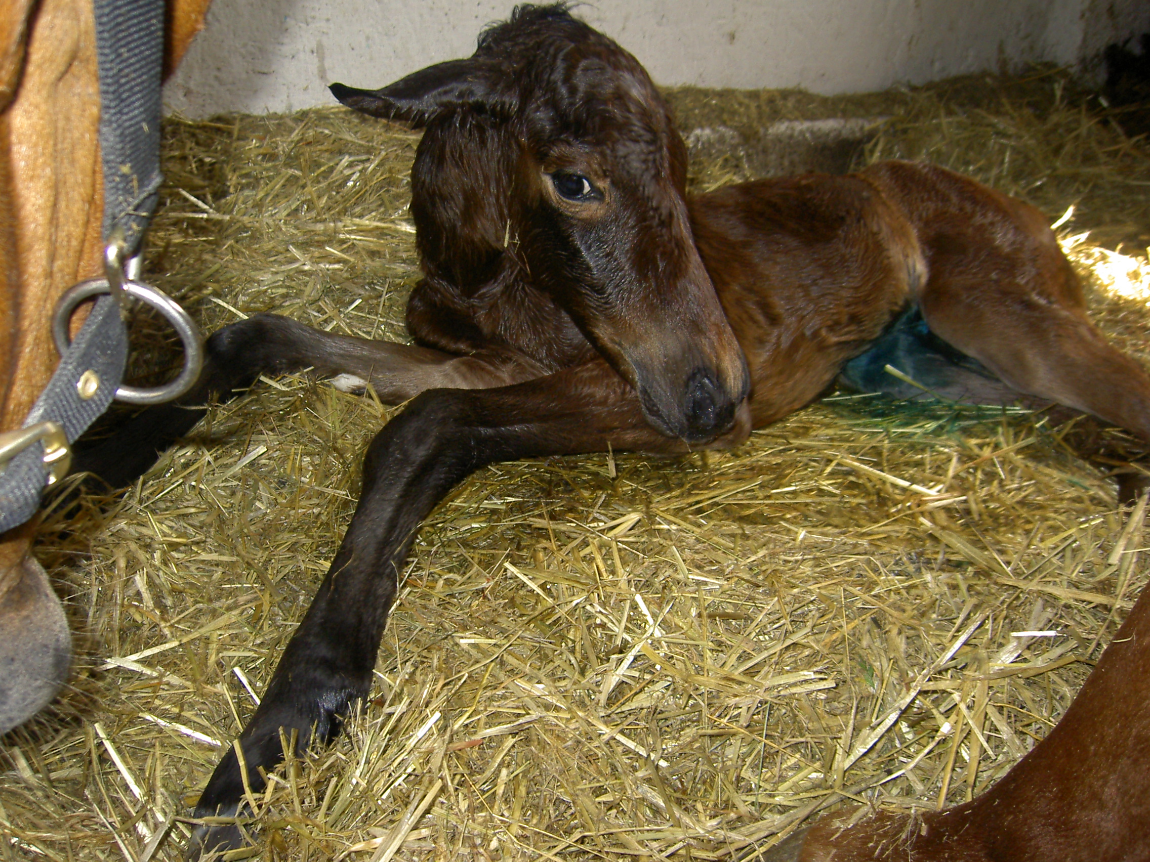 PICT0001.JPG