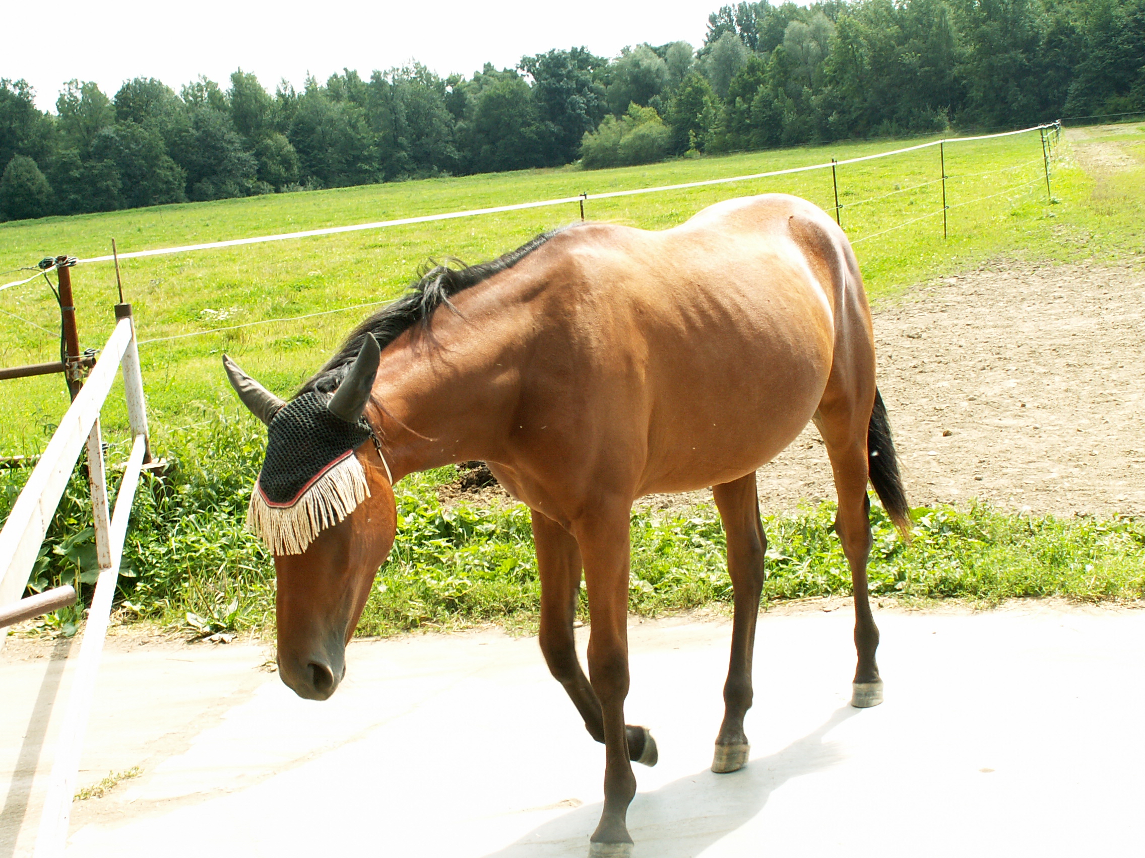 PICT0063.JPG