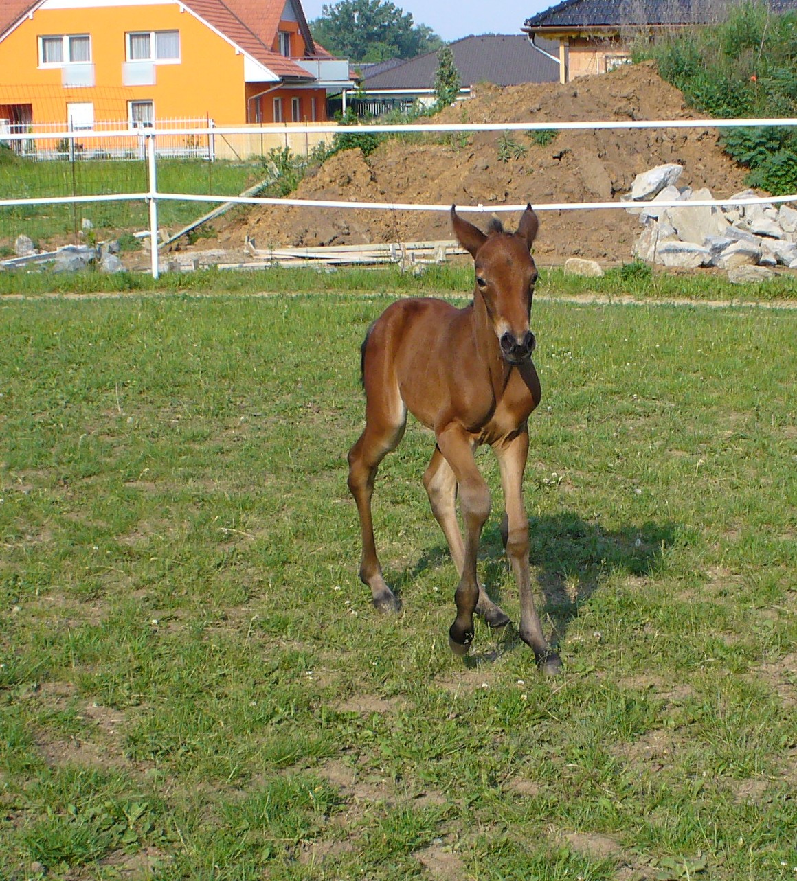 P1040650.JPG