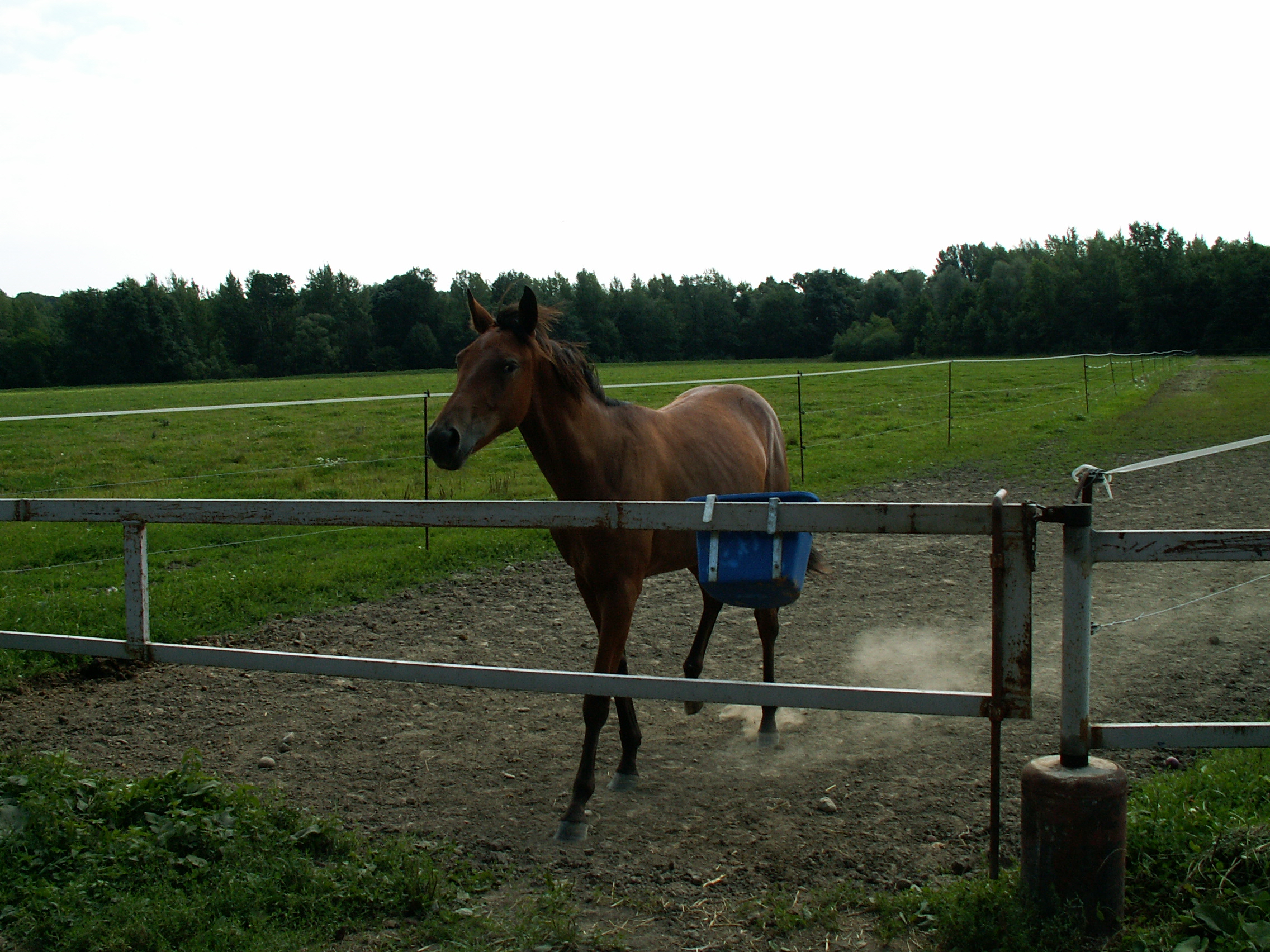 PICT0002.JPG