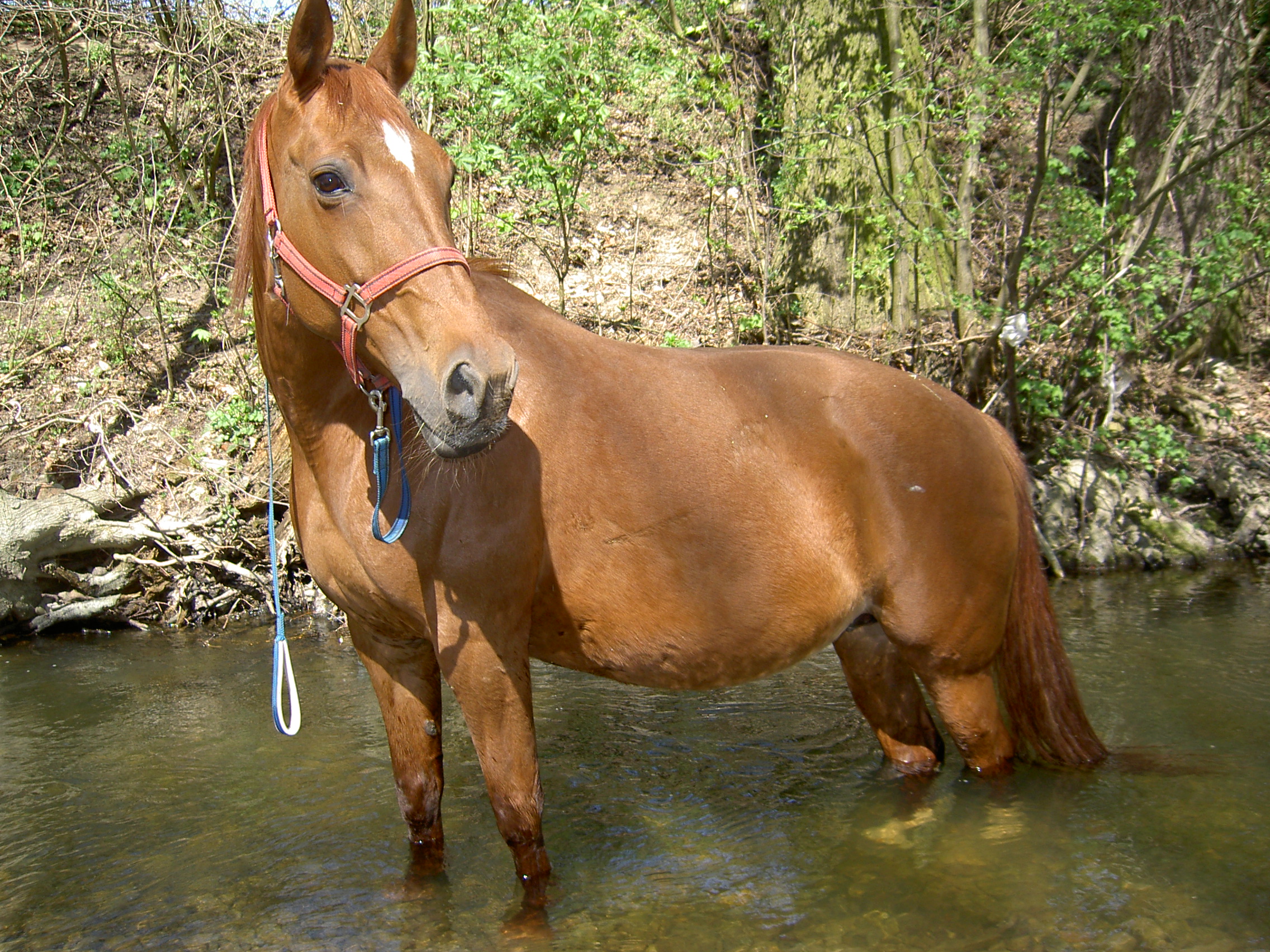 MATKA - Estty 2