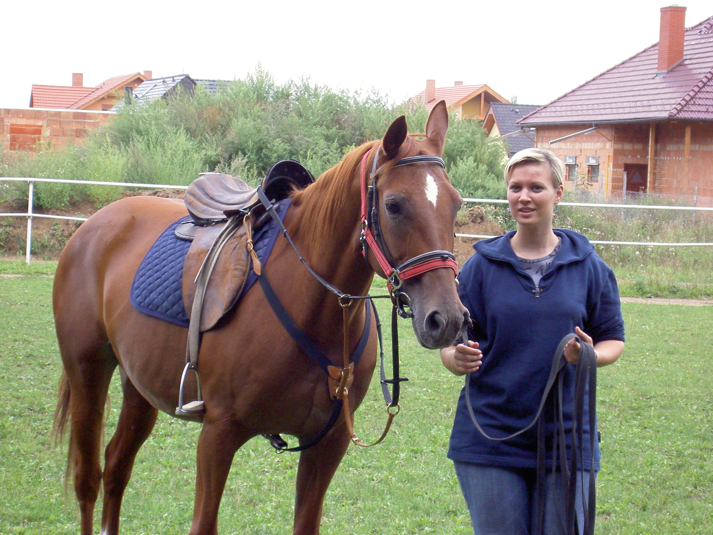 PICT2742.JPG