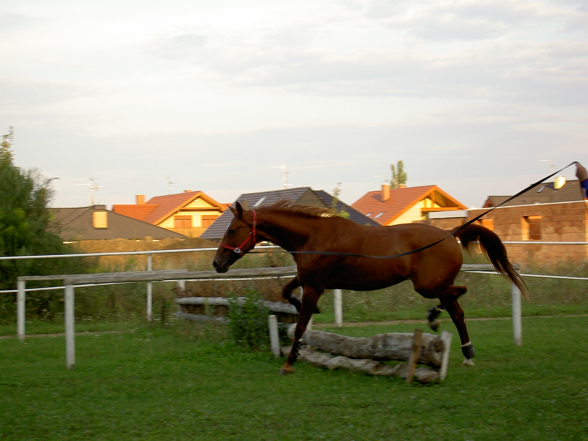 PICT2883.JPG