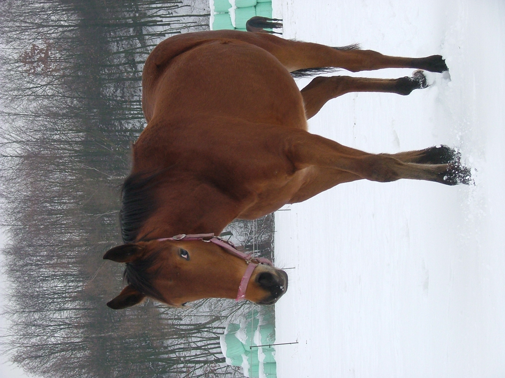 DSCF2632.JPG