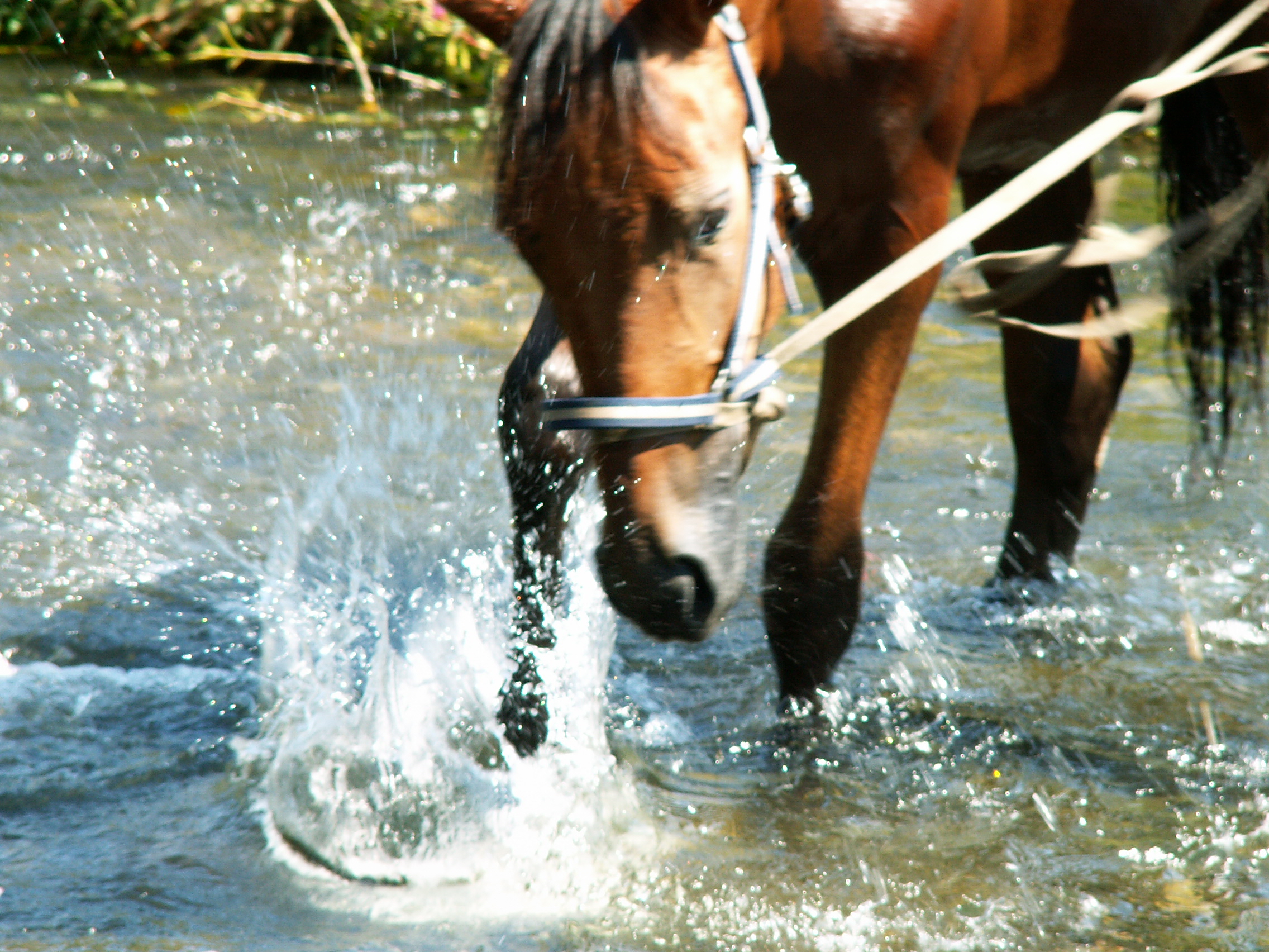 PICT0224.JPG