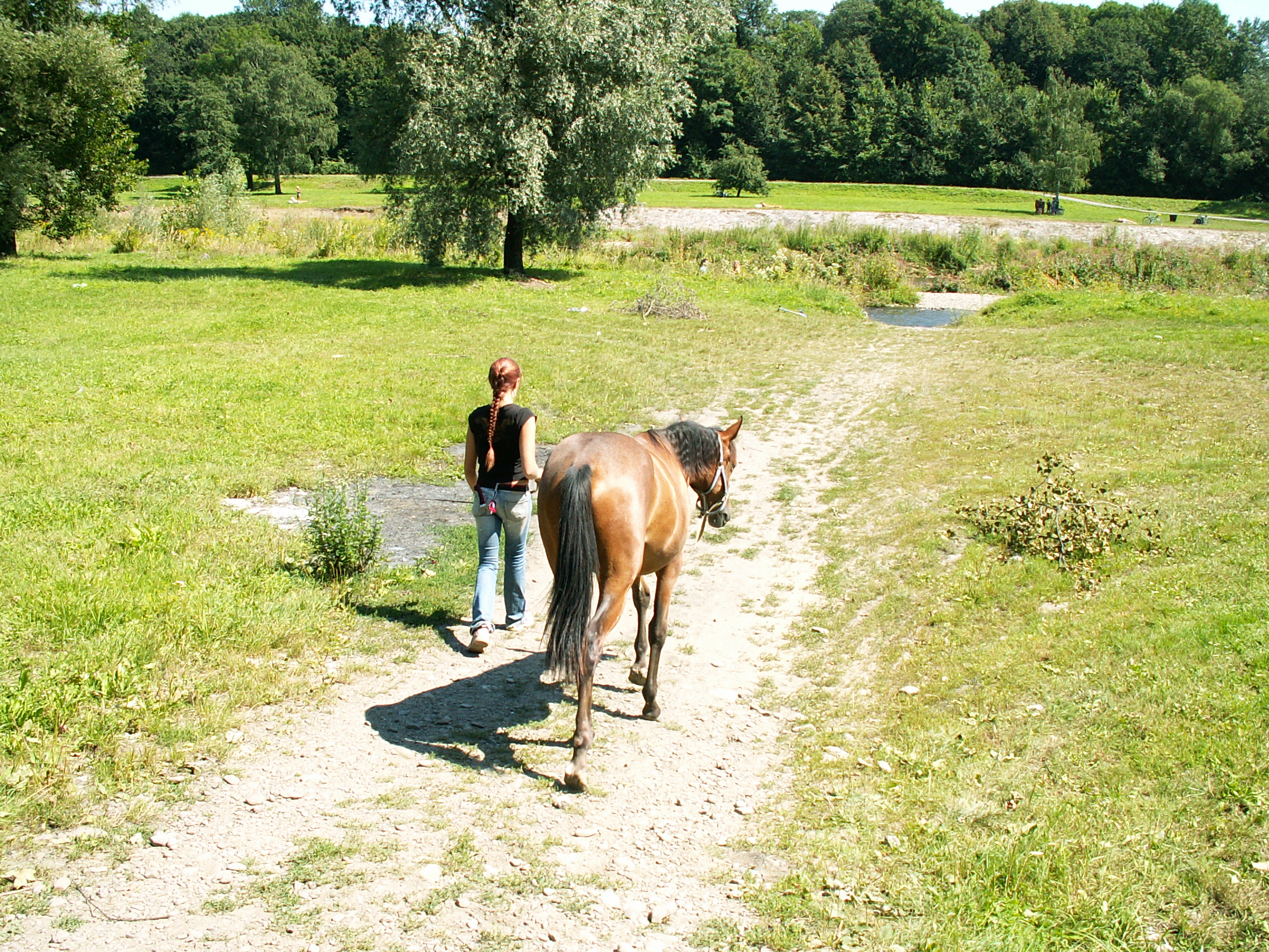 PICT0184.JPG
