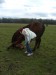 DSCF2909.JPG