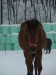 DSCF2631.JPG